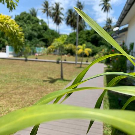 Cloud9 Holiday Cottages Pantai Cenang  Eksteriør billede