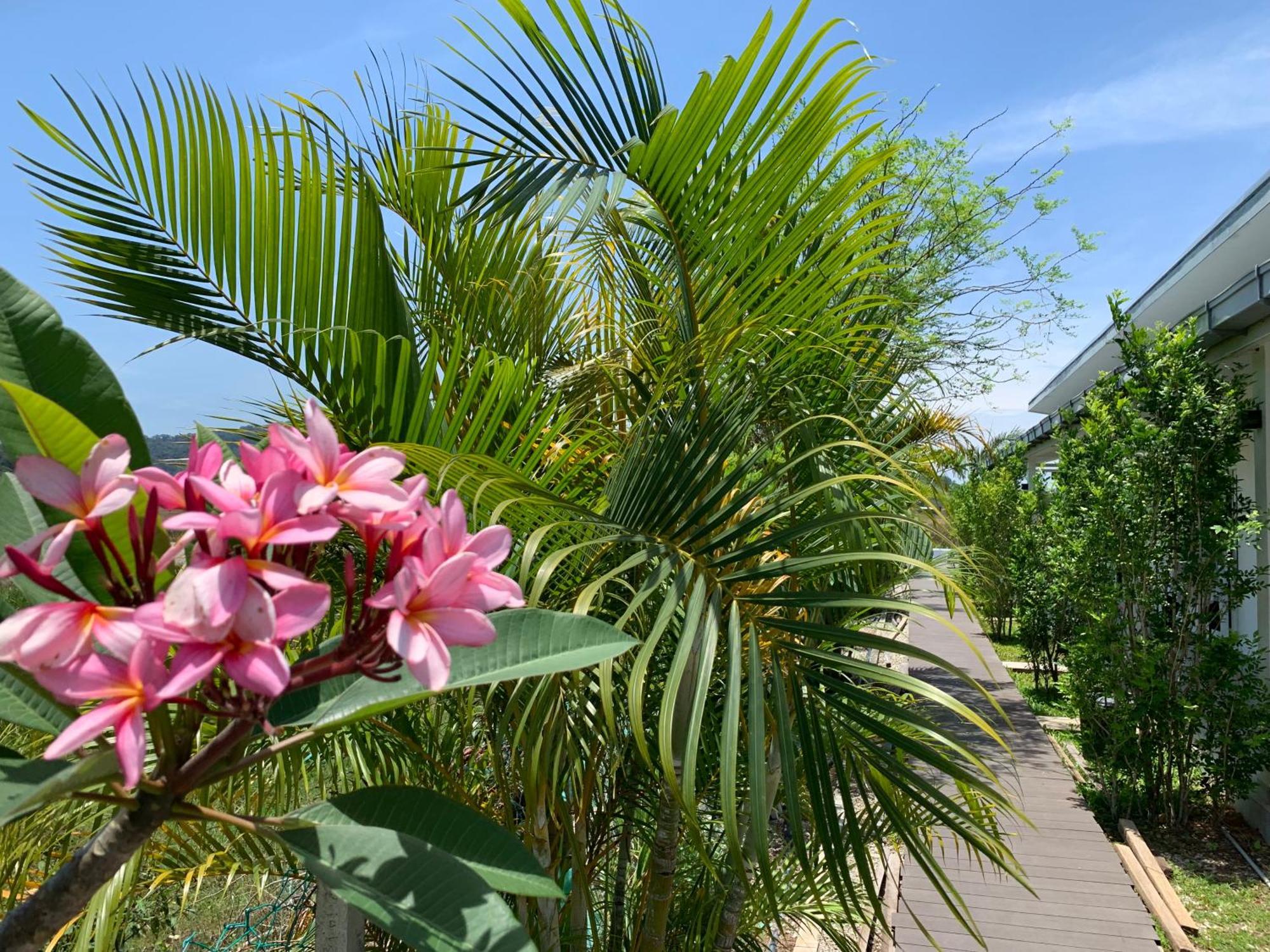 Cloud9 Holiday Cottages Pantai Cenang  Eksteriør billede