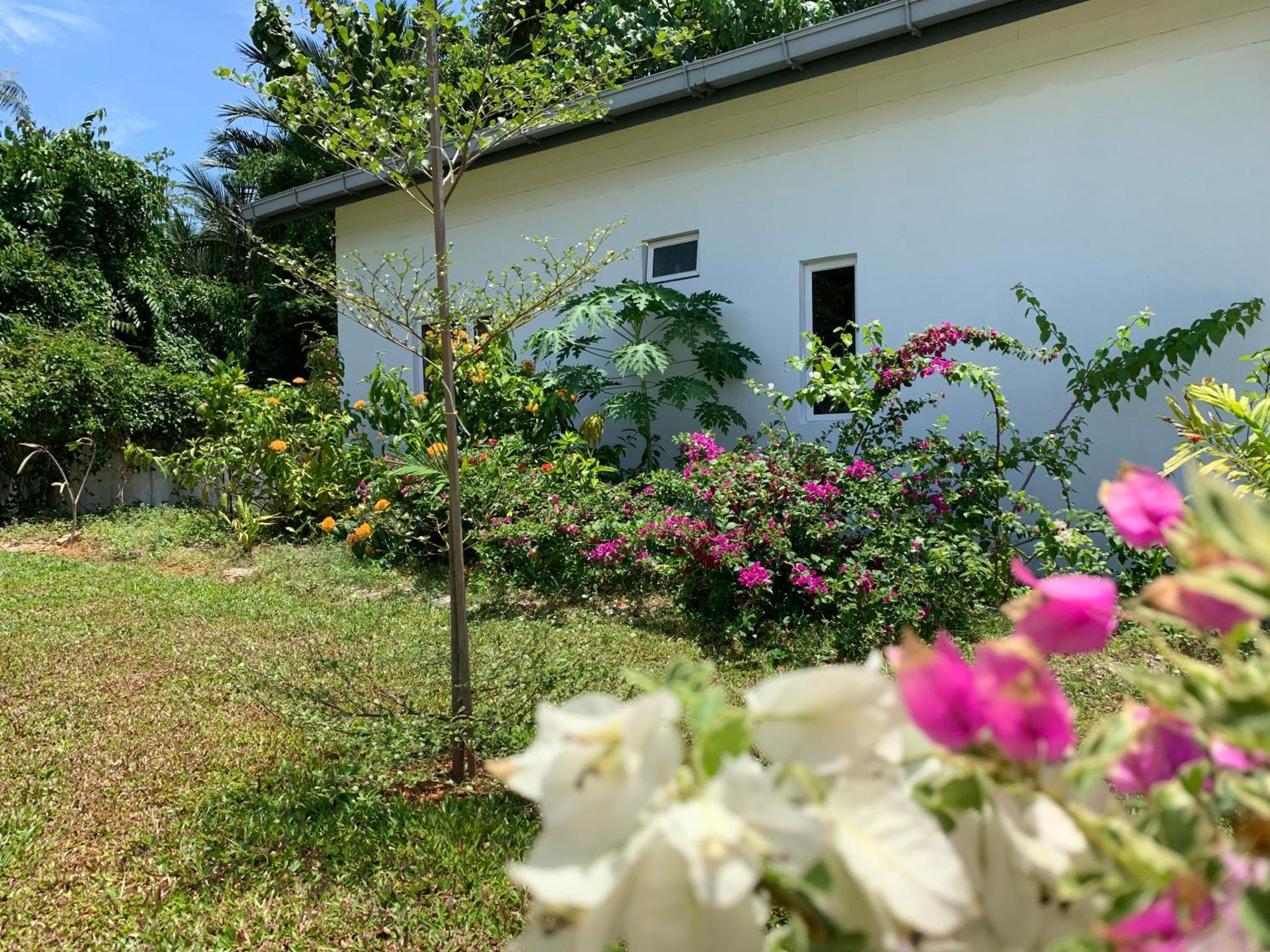 Cloud9 Holiday Cottages Pantai Cenang  Eksteriør billede