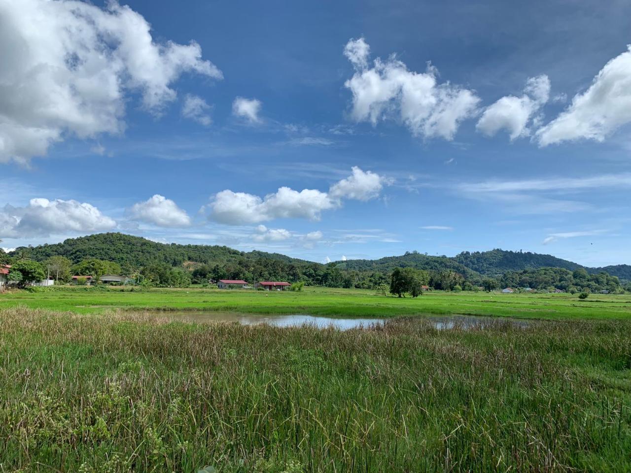 Cloud9 Holiday Cottages Pantai Cenang  Eksteriør billede